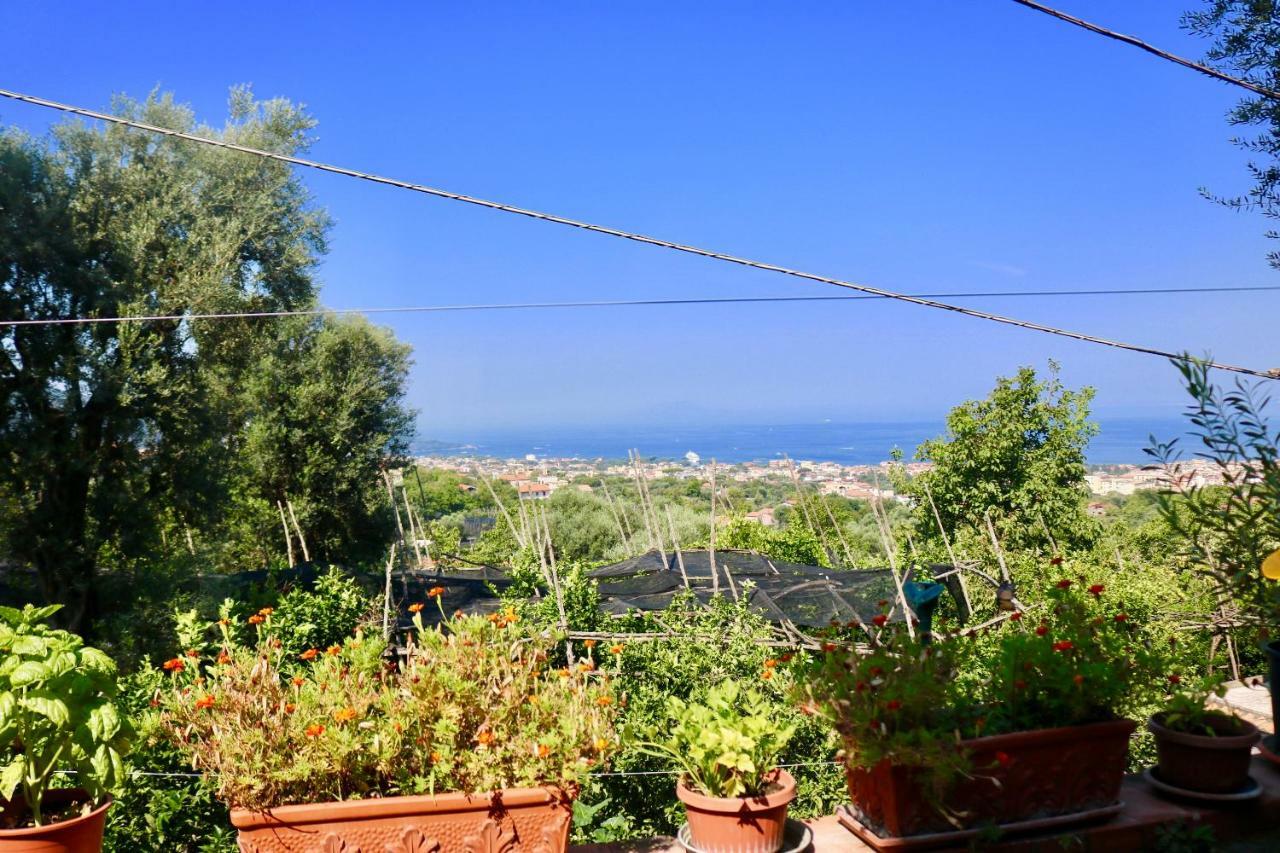 Traulivi Country House ميتا المظهر الخارجي الصورة
